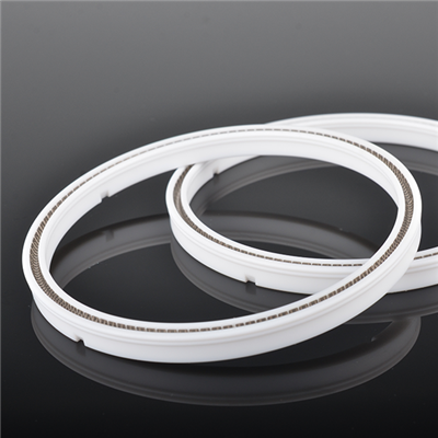 PTFE rod seal with helical spring
