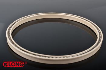 Bahor energiyali PTFE tayoq muhri